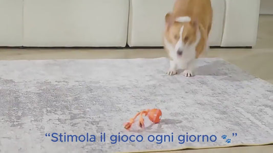Addio noia per cani e gatti – Velyra™